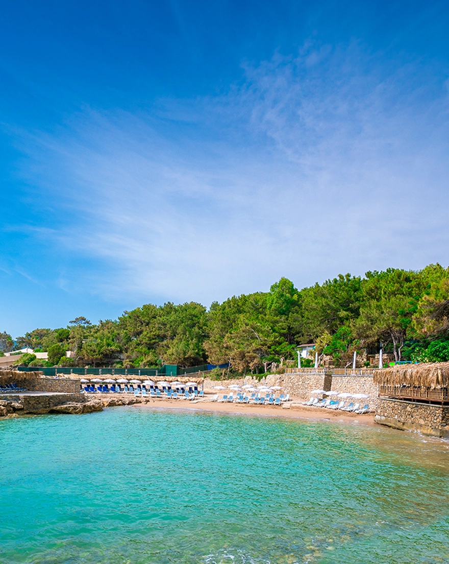 Modern Saraylar Luxury Hotel Hakkında