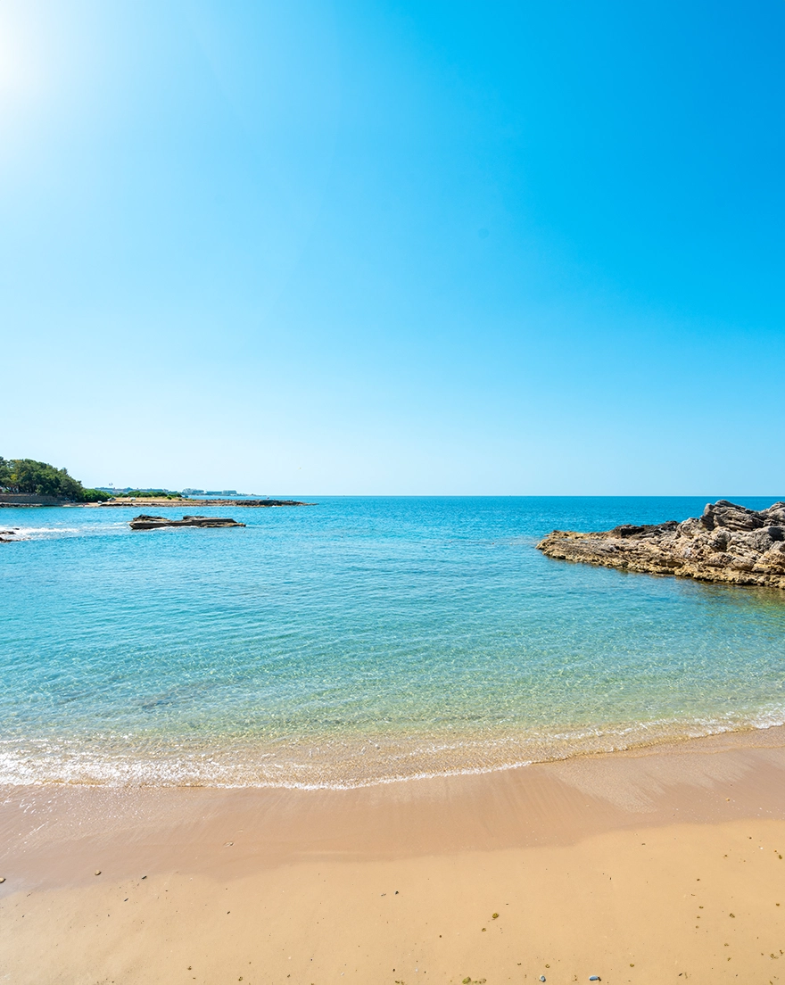 Modern Saraylar Rezervasyon